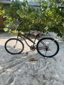 Fahrrad